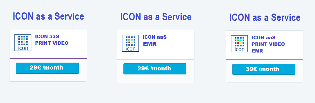 ICON SaaS Subscriptions by Month